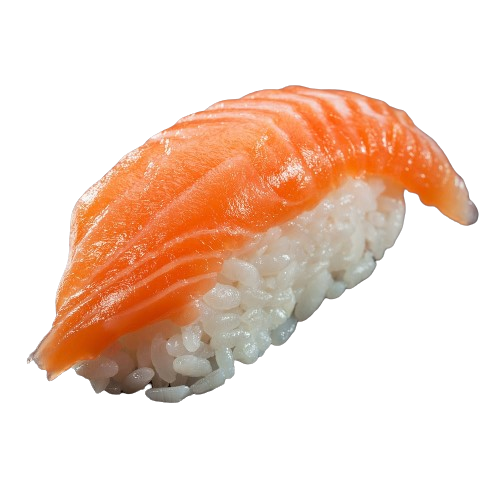 Salmon Sushi